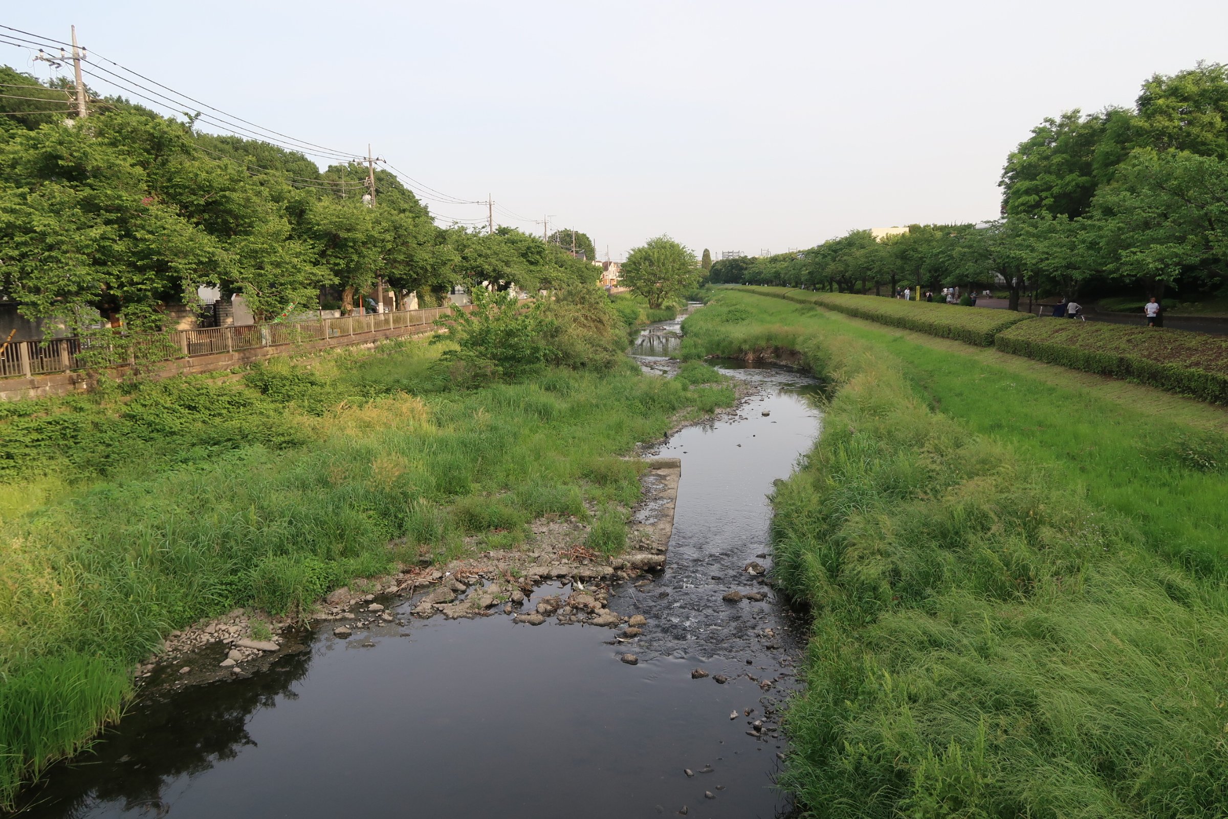 🏞️ 노가와 공원 (노가와코엔) 이미지 5